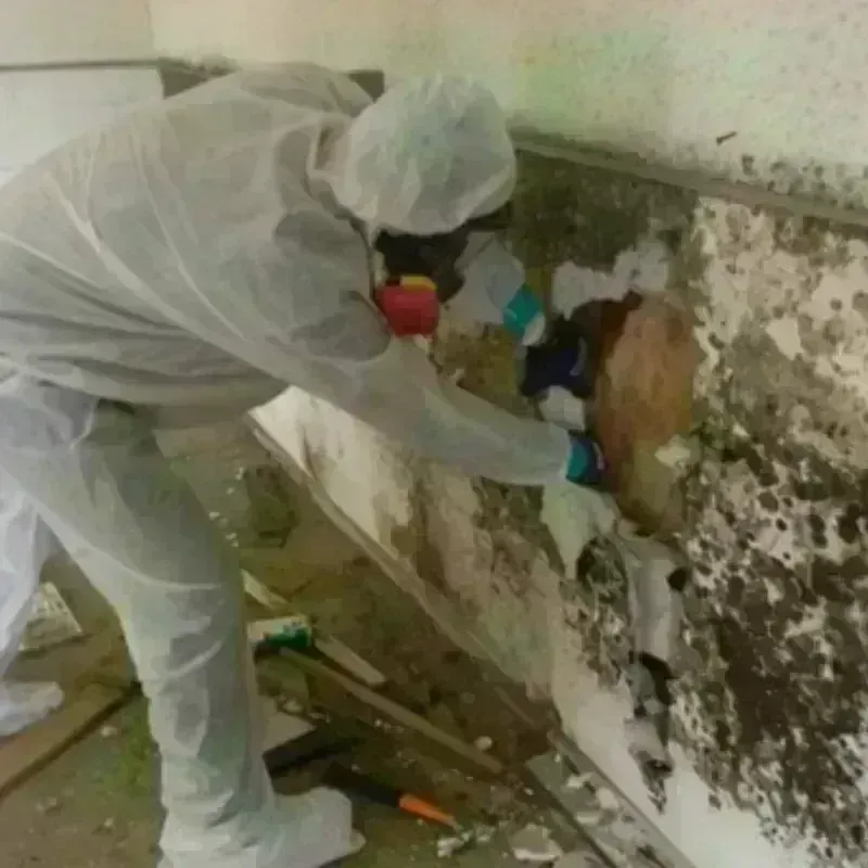 Mold Remediation and Removal in Irondequoit, NY